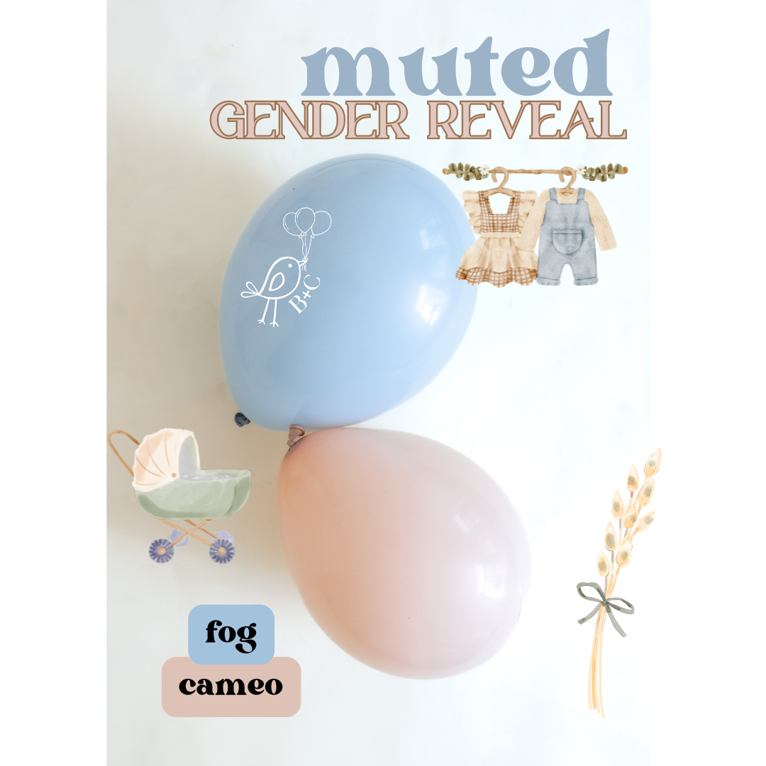 Muted Gender Reveal Balloon Garland